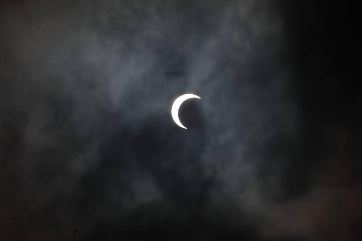 Es importante que las mascotas no miren directamente los eclipses ni se les coloquen gafas de eclipse ni se les acerque a telescopios u otros instrumentos. Foto: Carlos Velásquez, El Colombiano