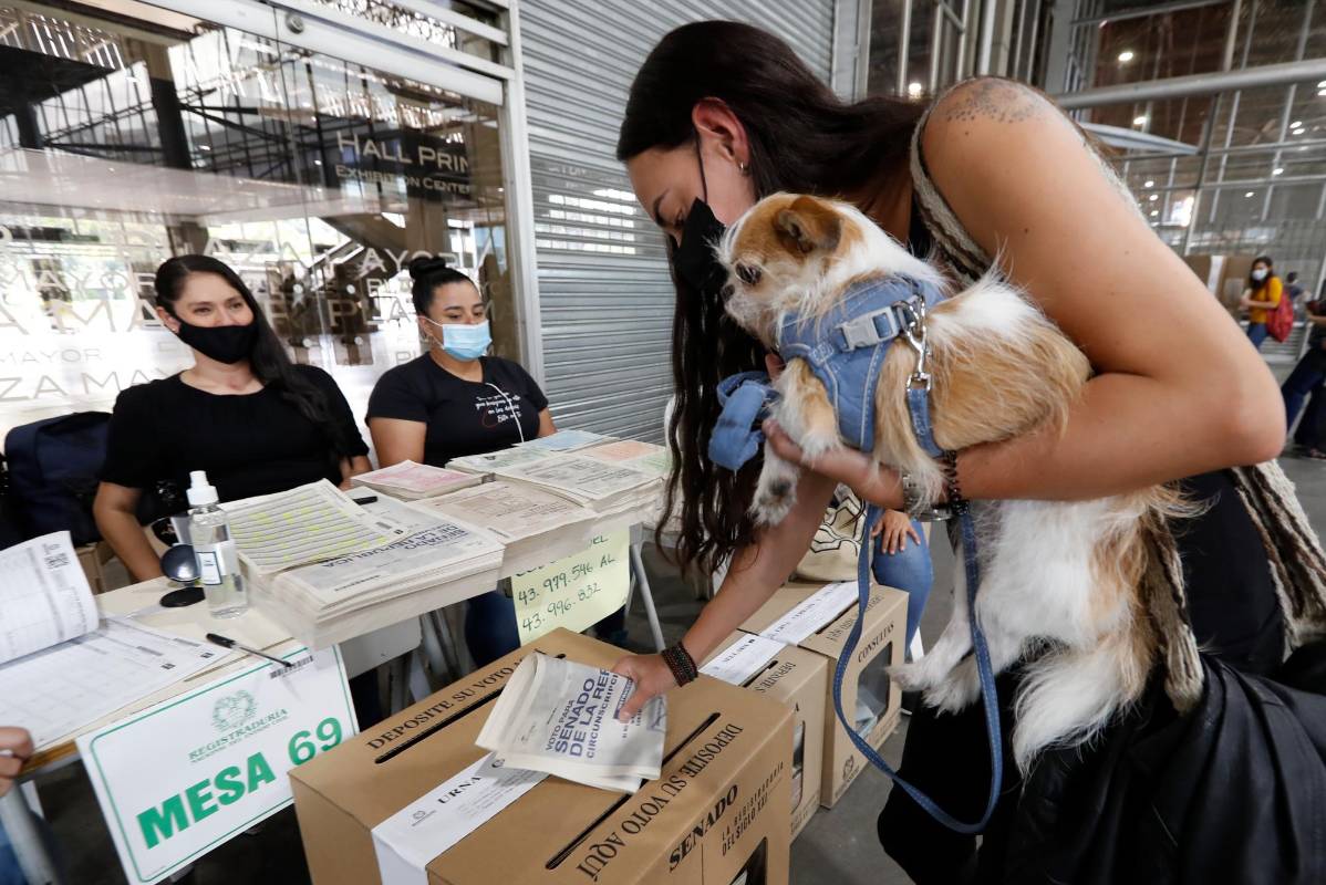 Los más pequeños son cargados por sus amos incluso en el momento de depositar el tarjetón. Foto Manuel Saldarriaga