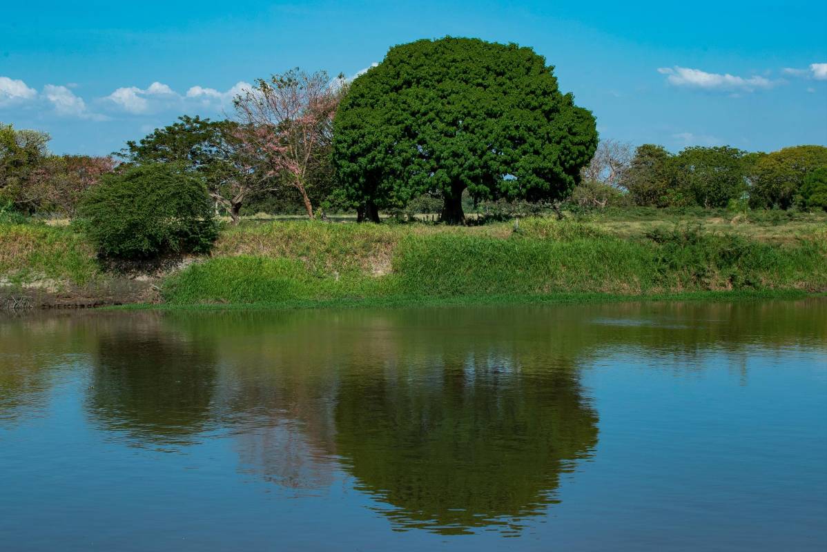 El río Magdalena rodea a la ciudad, que más parece una isla. Foto: Jaime Pérez. 
