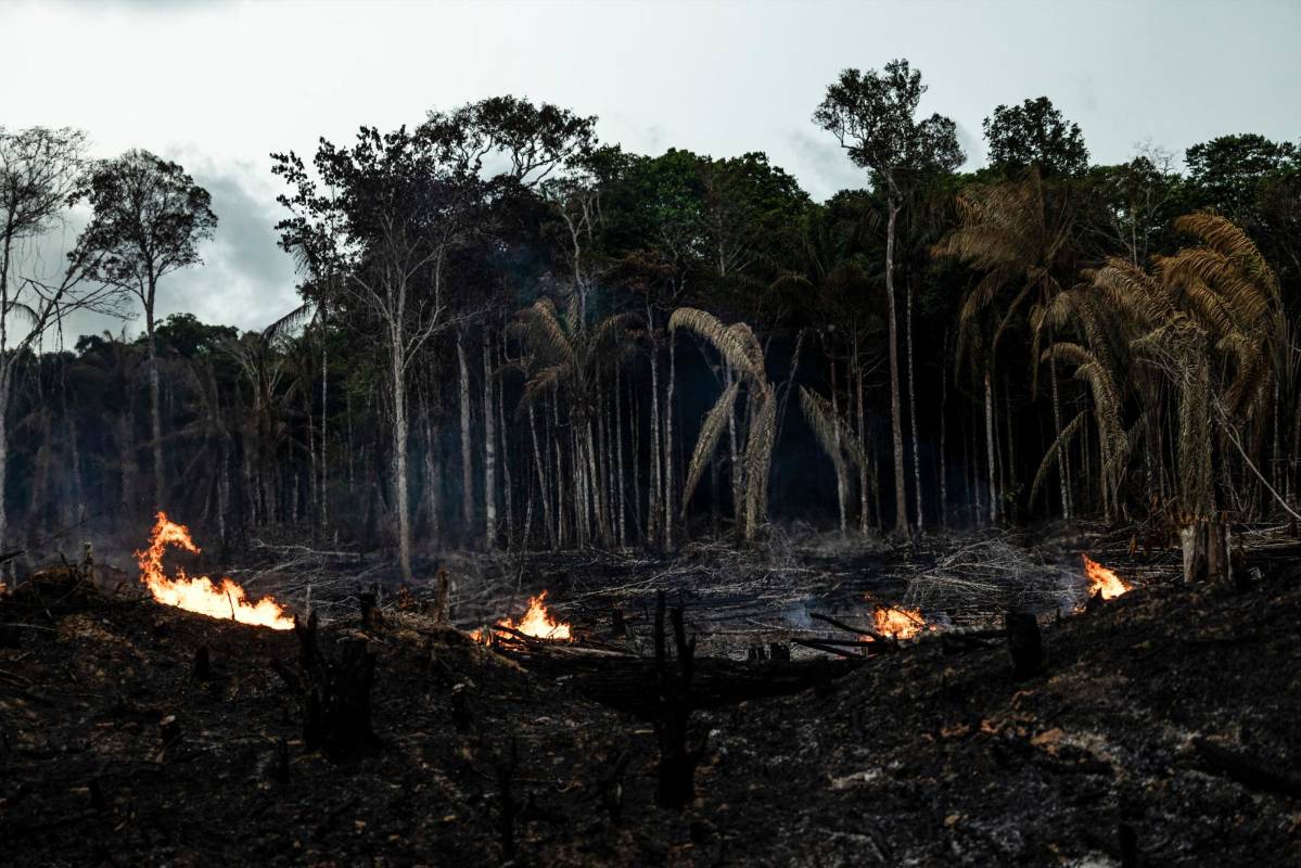 Esta carretera y sus caminos secundarios planificados amenazan una parte de la Amazonia. Foto: AFP