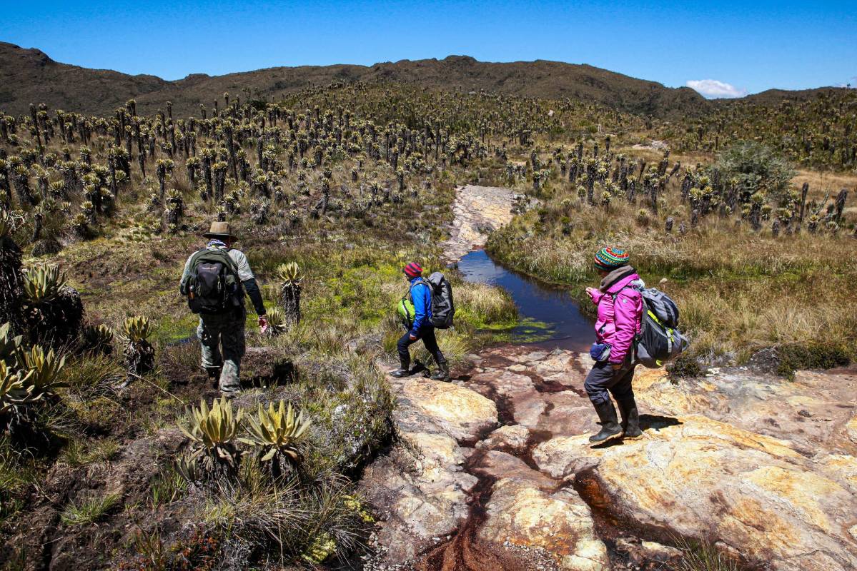 Matilde y Humberto tuvieron siete hijos a más de 3.500 metros sobre el nivel del mar, criados en una casa recóndita incrustada en un valle rodeado de nacimientos de agua y frailejones: Llano Grande. Foto: MANUEL SALDARRIAGA QUINTERO.