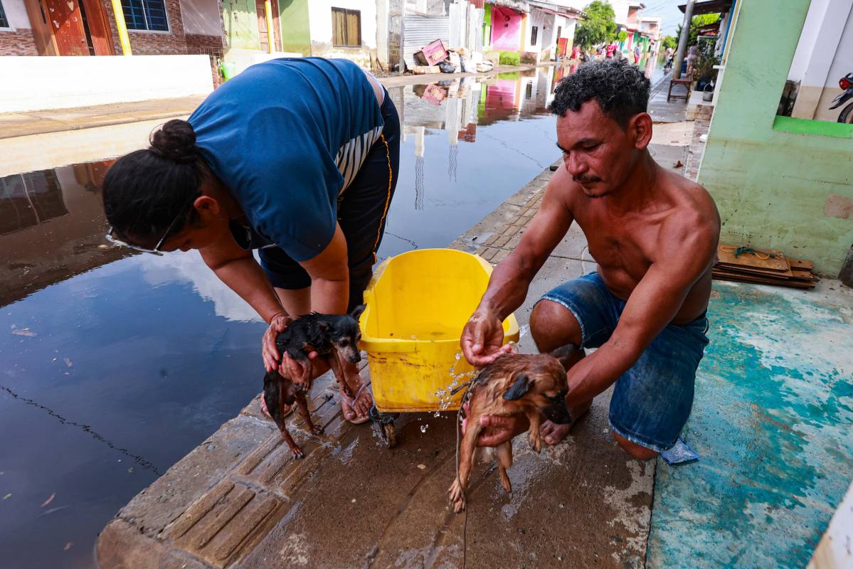  “Salgan rápido”. El grito partió la noche en dos. Eran apenas las 10:00 p. m. del sábado 7 de febrero y la lluvia ya mostraba su peor cara. Ni las mascotas se salvaron. Foto: Manuel Saldarriaga Quintero.