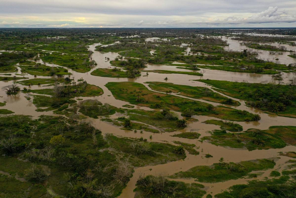 La inundación a La Mojana arruinó cultivos y ahogó vacas, y marranos, y perros, y pollos, y esperanzas. Foto: MANUEL SALDARRIAGA QUINTERO.