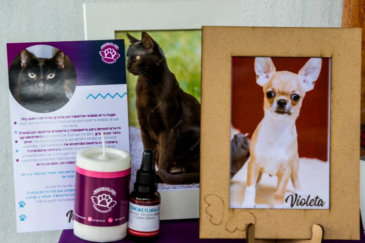 En la sala de velación se cumple uno de los rituales que es encender la luz, por que significa el transcender de las mascotas. Fotos : Julio César Herrera. Fotos: Julio César Herrera