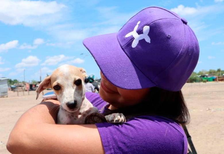 Laika duplicará las donaciones recibidas en sus tiendas para ayudar a los animales de Córdoba. FOTO cortesía Laika