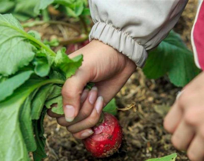 ¿Tiene un emprendimiento sostenible? Esta convocatoria le interesa