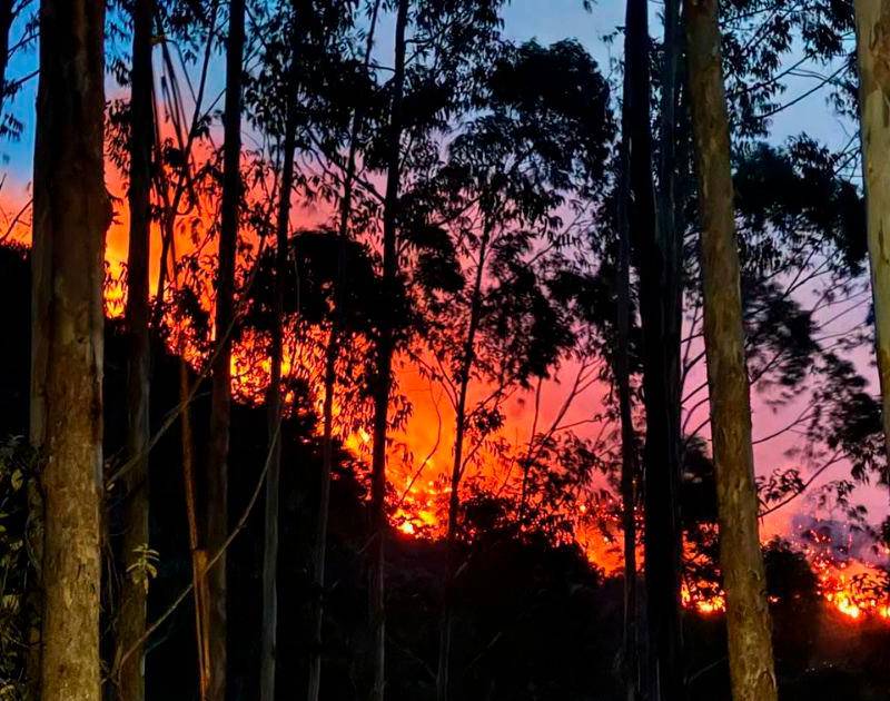 ¡Pilas con las quemas! Barbosa decretó alerta naranja por incendios forestales
