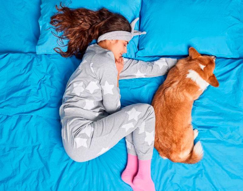 Dormir con perros y gatos: ¿un placer o un riesgo? Aquí le contamos