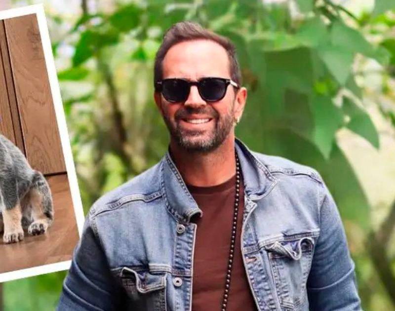 Pistacho, el perro que llegó a sanar el corazón de Lucas Arnau