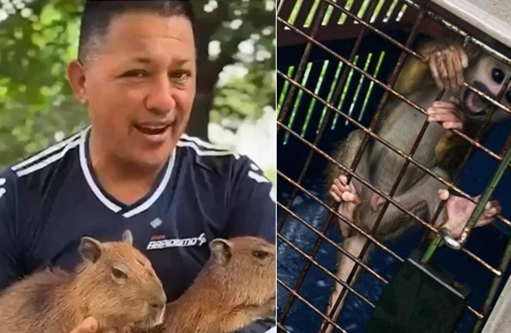 Jesse Adonai Daza exhibía animales en redes mientras difundía mensajes ambientales. FOTO: Redes sociales / Fiscalía.