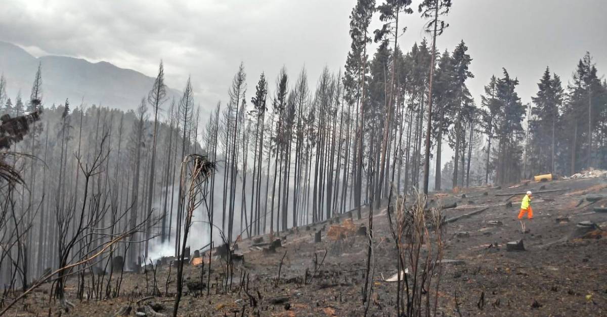 Continúan los incendios en la Patagonia argentina