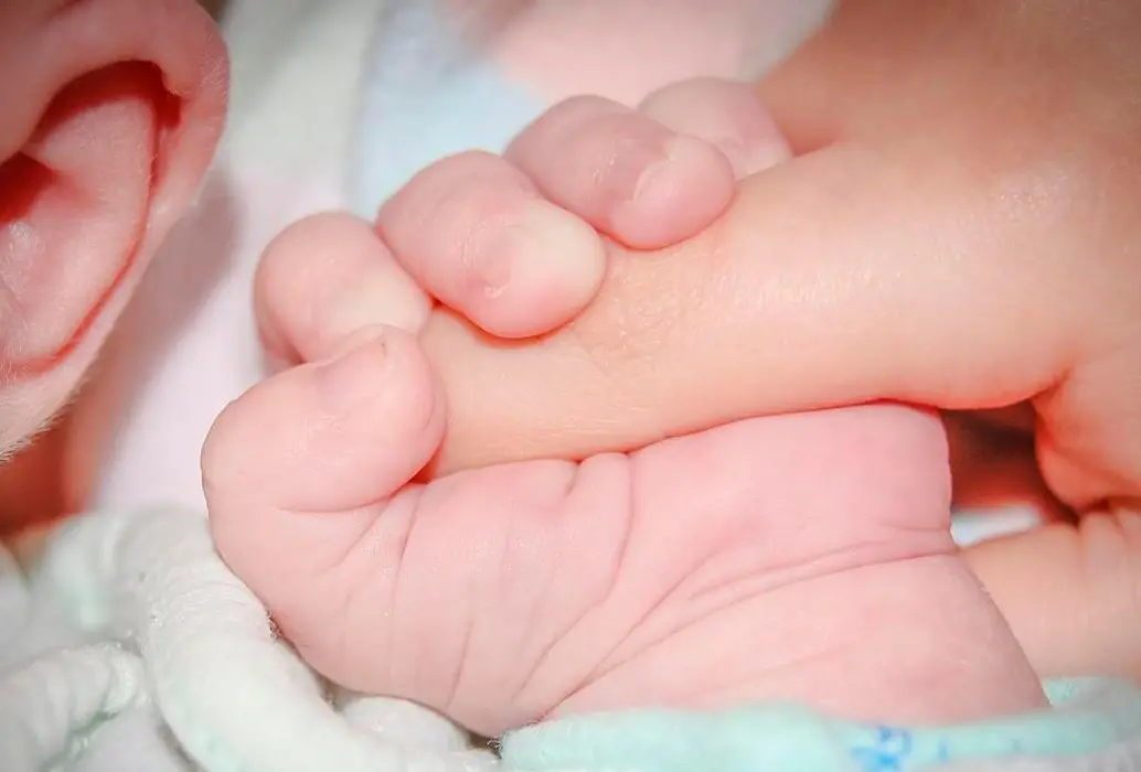 La disminución de nacimientos en Colombia refleja cambios económicos y sociales en las decisiones de las familias. FOTO: PIXABAY