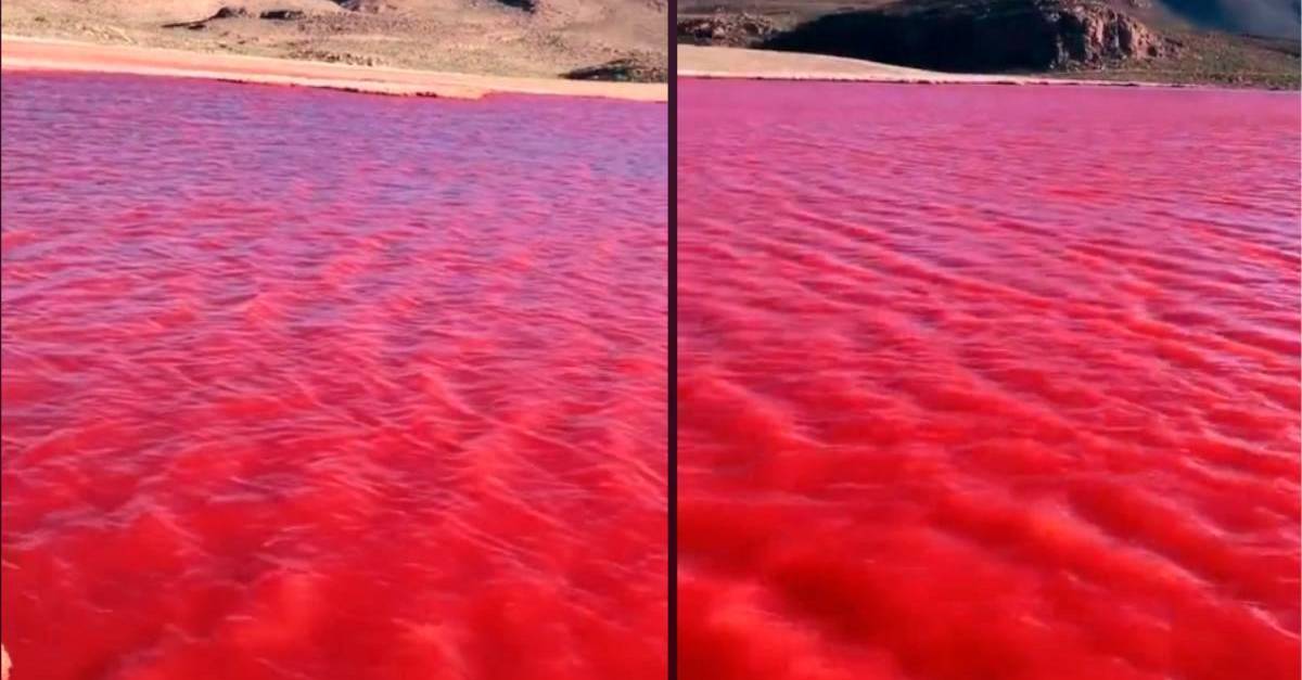 Why was the Nile River dyed red in Egypt? Time News