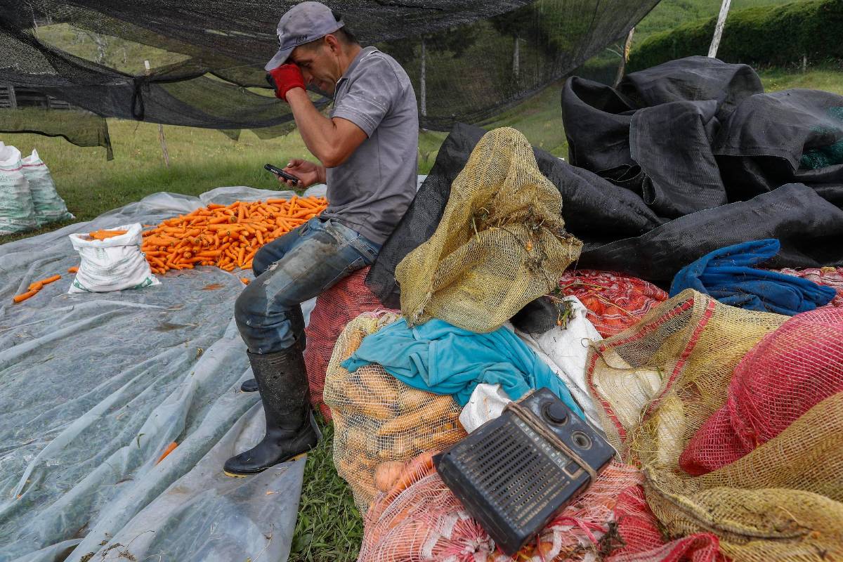 La promoción del Agro mercado se hace de manera institucional a través de la Alcaldía, la página Web, la emisora comunitaria y las redes sociales institucionales. Foto: Manuel Saldarriaga Quintero.