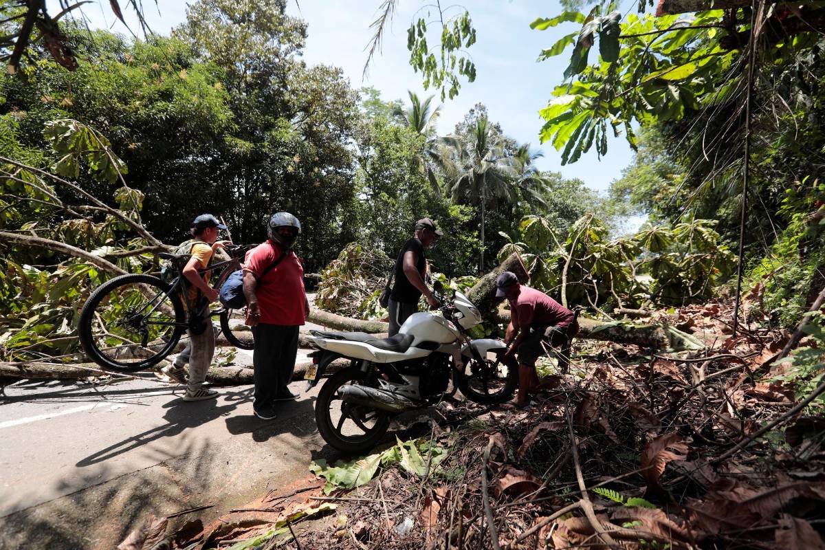 Mientras las negociaciones avanzan para levantar el bloqueo, el gremio transportador reporta pérdidas que alcanzan los 160.000 millones de pesos. Foto: Carlos Velásquez