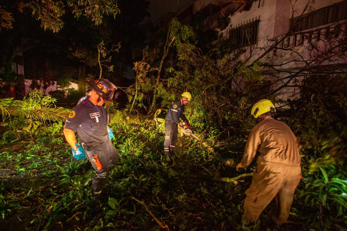 Las labores de remoción de escombros y árboles se extiende muchas veces hasta altas horas de la noche. FOTO: CARLOS VELÁSQUEZ