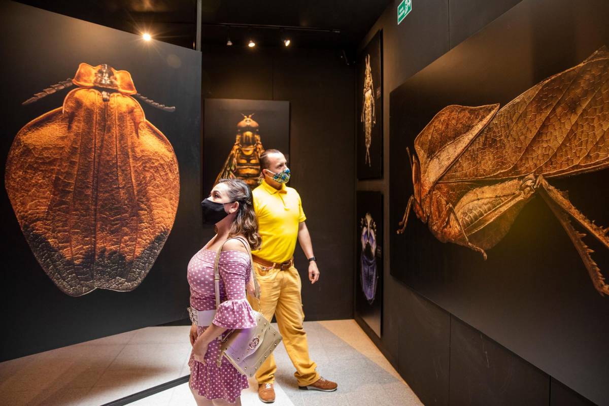 Esta muestra ya ha recorrido 22 países. Foto: Carlos Velásquez