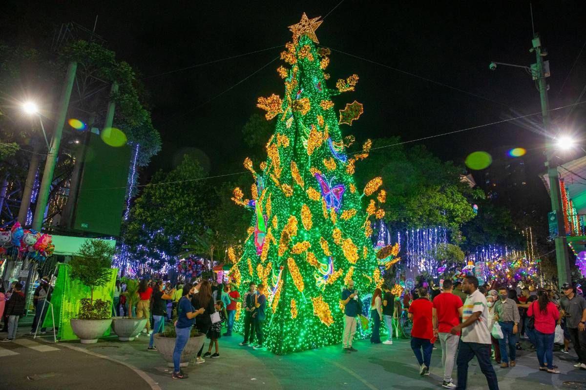 Un árbol verde, de unos ocho metros de altura, se yergue, repleto de estrellas, como atractivo central del parque principal. Foto: Edwin Bustamante