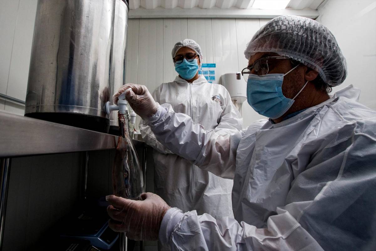 Pasaron varios años de investigación y de ir mejorando el producto, y luego de probarlo en repetidas ocasiones en la familia lo convirtieron en un emprendimiento familiar. FOTOS JULIO CÉSAR HERRERA