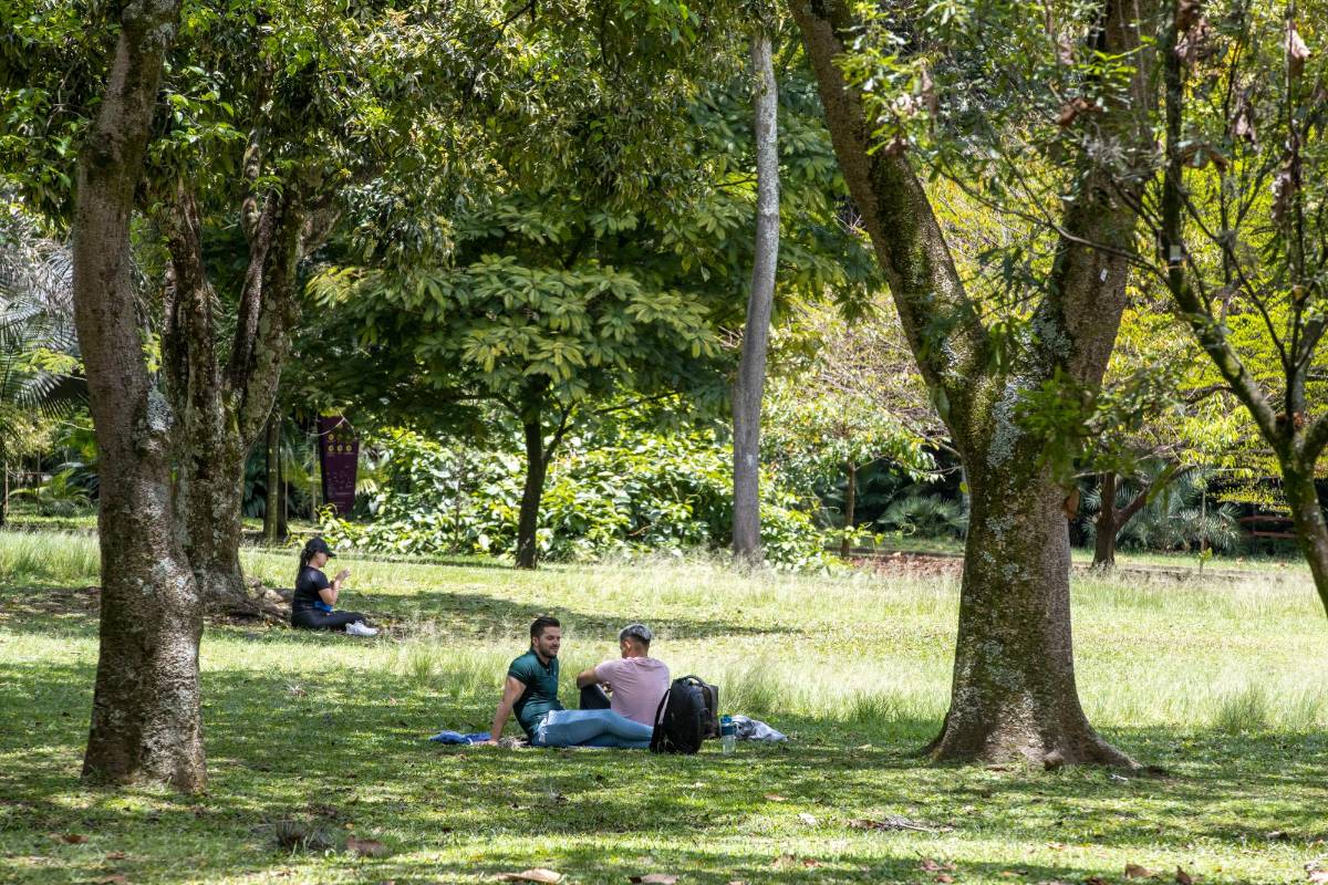 Este pulmón verde es un espacio lleno de historia que se remonta a finales del siglo XIX, siempre dedicado al la naturaleza y al encuentro. Foto: Edwin Bustamante