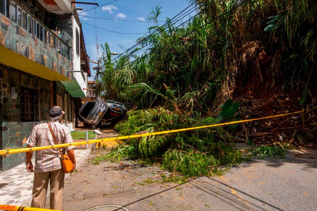 Las lluvias también provocaron la caída de un árbol de gran tamaño sobre algunas de las carpas donde se estaba adelantando la vacunación anticovid en el sector de Suramericana. Foto Carlos Velásquez 