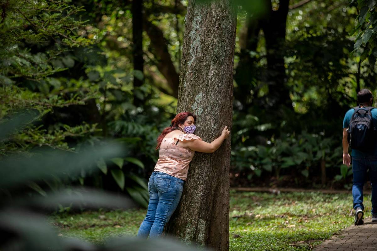 Este hermoso lugar está atravesando una compleja situación económica, entre otras generada por la ausencia de visitantes, a causa de la pandemia de coronavirus, y la falta de contratación de los servicios que ofrece. Foto Camilo Suárez