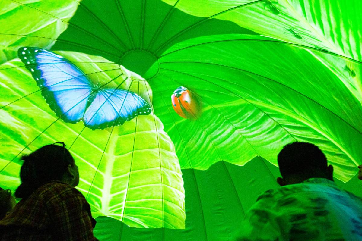 Con cuatro domos circulares, con los conceptos de tierra, aire, fuego y agua, los asistentes podrán vivir una experiencia sensorial. Foto Esneyder Gutiérrez 
