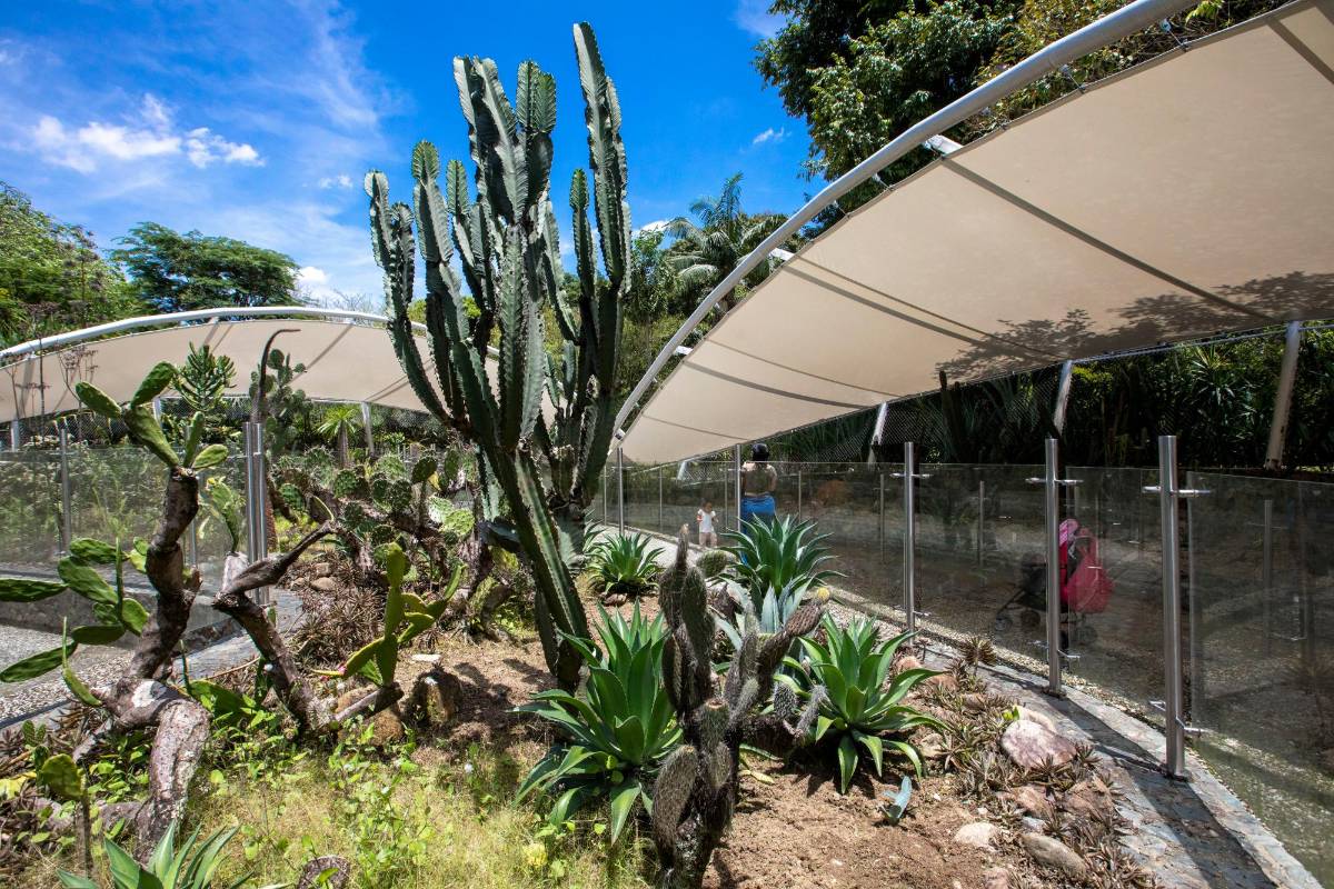 El jardín del desierto es donde más se siente el calor, por el tipo de plantas que necesitan alta radiación solar y poca agua. Foto: Edwin Bustamante