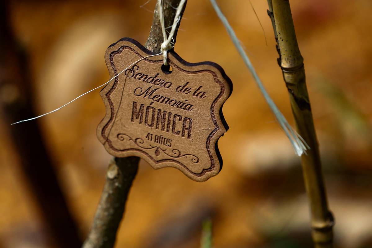 Grabados con los nombres de las víctimas en pequeñas placas de madera, penden de las incipientes ramas de los árboles, sembrados el pasado sábado 5 de junio. Foto: Manuel Saldarriaga Quintero.