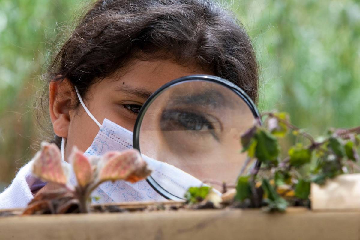 Los niños tienen la oportunidad de investigar y aprender en la huerta. Foto: Edwin Bustamante