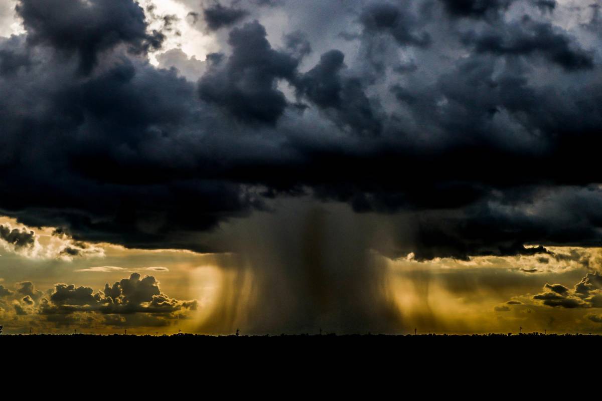 Desde 1974 se celebra el año del medio ambiente, desde entonces se ha venido trabajando en campañas para detener y revertir la explotación masiva a nivel mundial de la naturaleza. FOTO JAIME PÉREZ