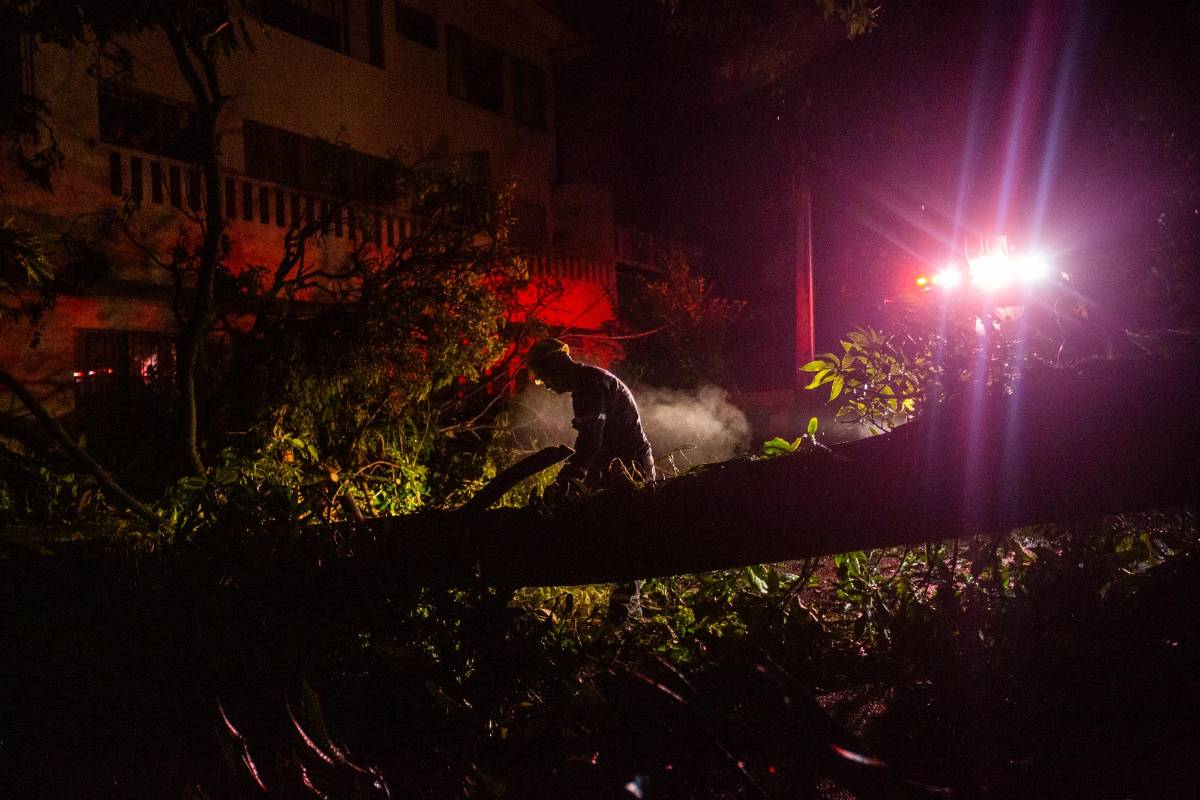 Los árboles caídos han cortado el flujo eléctrico de muchos sectores de Medellín. FOTO: CARLOS VELÁSQUEZ