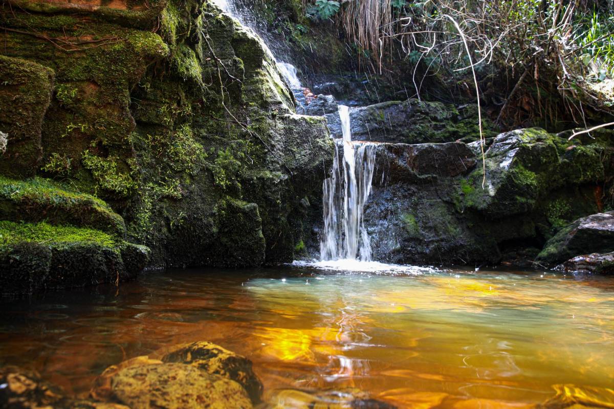 Existen gran variedad de climas, lo que da espacio a la existencia de diversas plantas, animales y hermosas cascadas. Foto: MANUEL SALDARRIAGA QUINTERO.