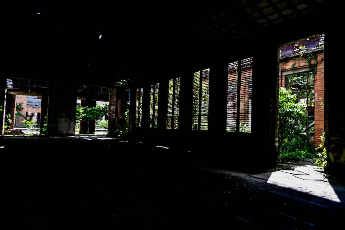 Hiervas, sombras y reflejos, son los últimos testigos de la transformación de los talleres del Ferrocarril de Antioquia en talleres de arte. FOTOS : JULIO CÉSAR HERRERA