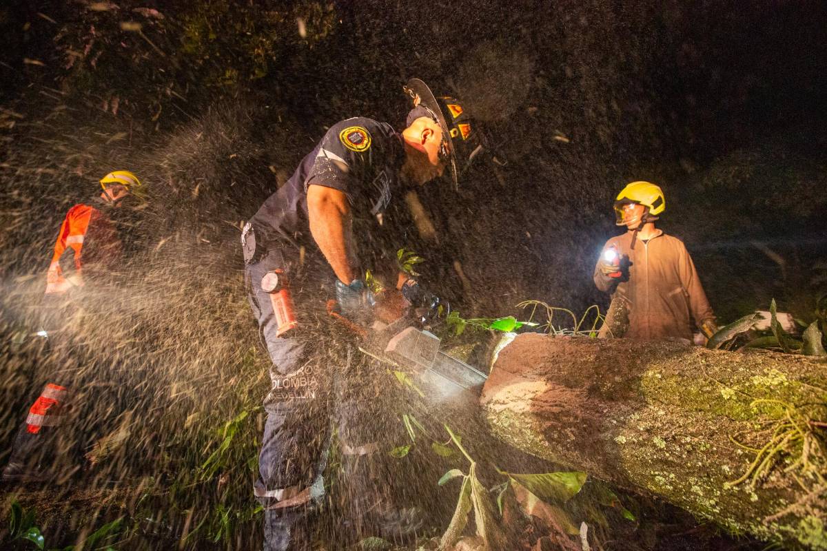 Los fuertes aguaceros de los últimos días en el Valle de Aburrá han dejado inundaciones y gran cantidad de árboles caídos. FOTO: CARLOS VELÁSQUEZ