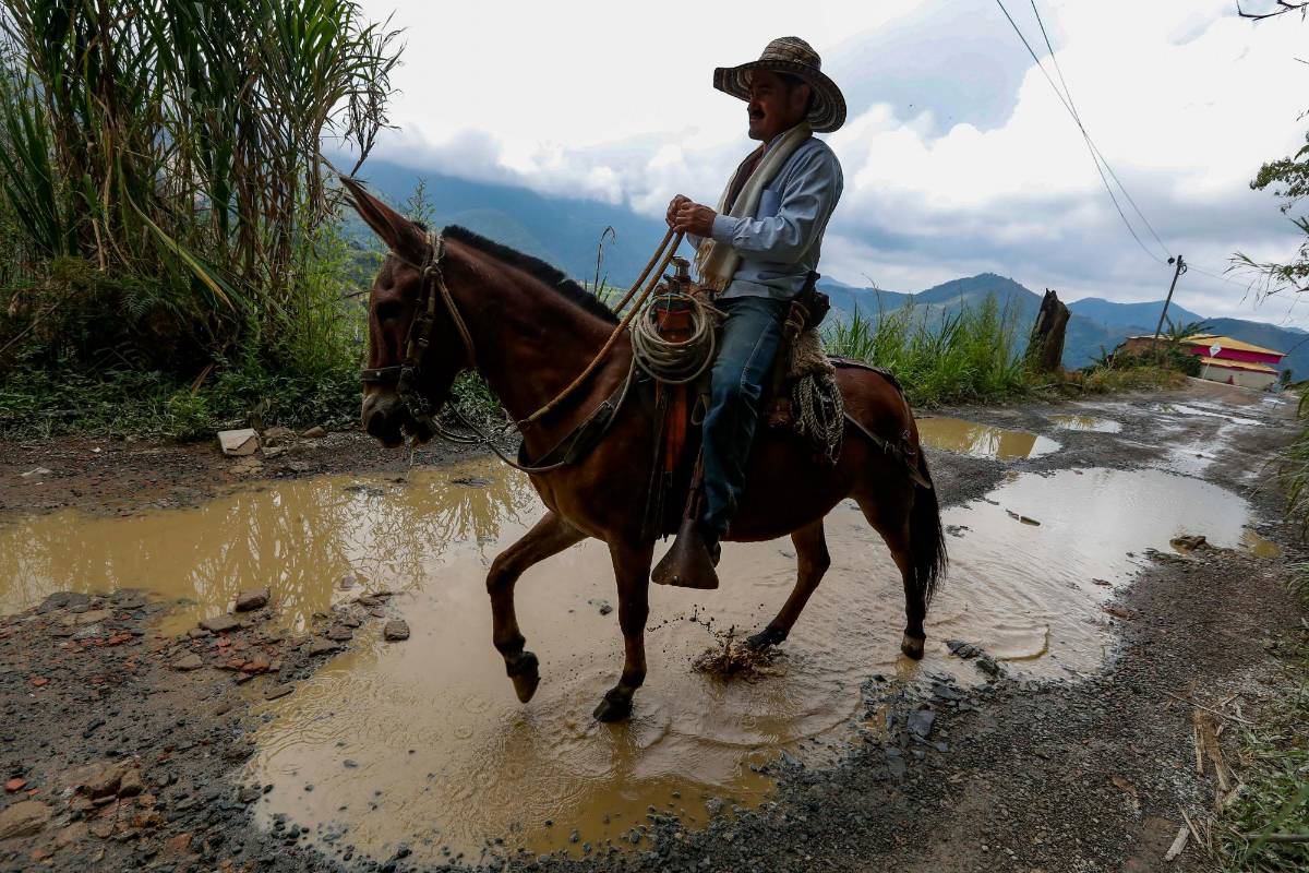 La construcción de caminos rurales reduce los costos del transporte, conecta a los agricultores con los mercados, permite que los trabajadores se trasladen con más celeridad. Foto: Manuel Saldarriaga Quintero.