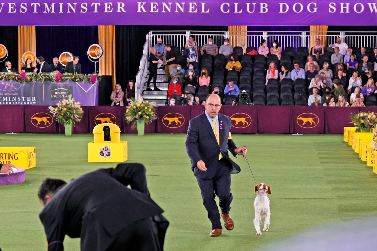 Los expositores realizaron sus rutinas con presencia de un público limitado, debido a las estrictas medidas de bioseguridad. Foto: Getty Images