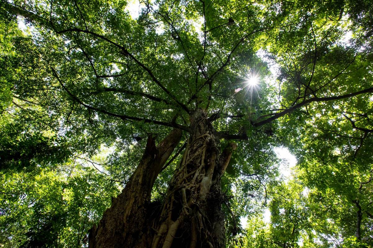 Las directivas lanzaron la campaña #UnidosporelJardin y #Yolecomproaljardin buscando la unión de todos los antioqueños para salvar este pulmón de Medellín. Foto Jaime Pérez