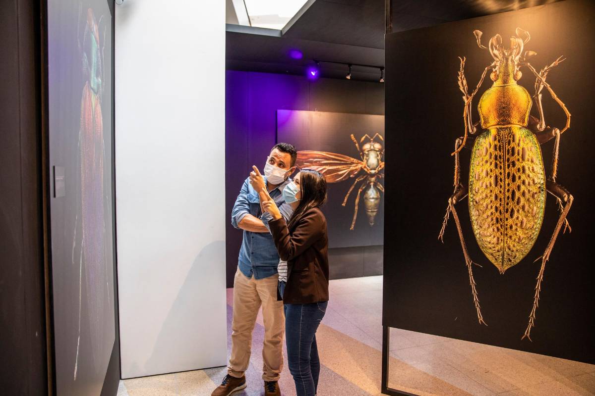 Las fotografías a gran escala se verán hasta el próximo 3 de abril p.m. Foto: Carlos Velásquez
