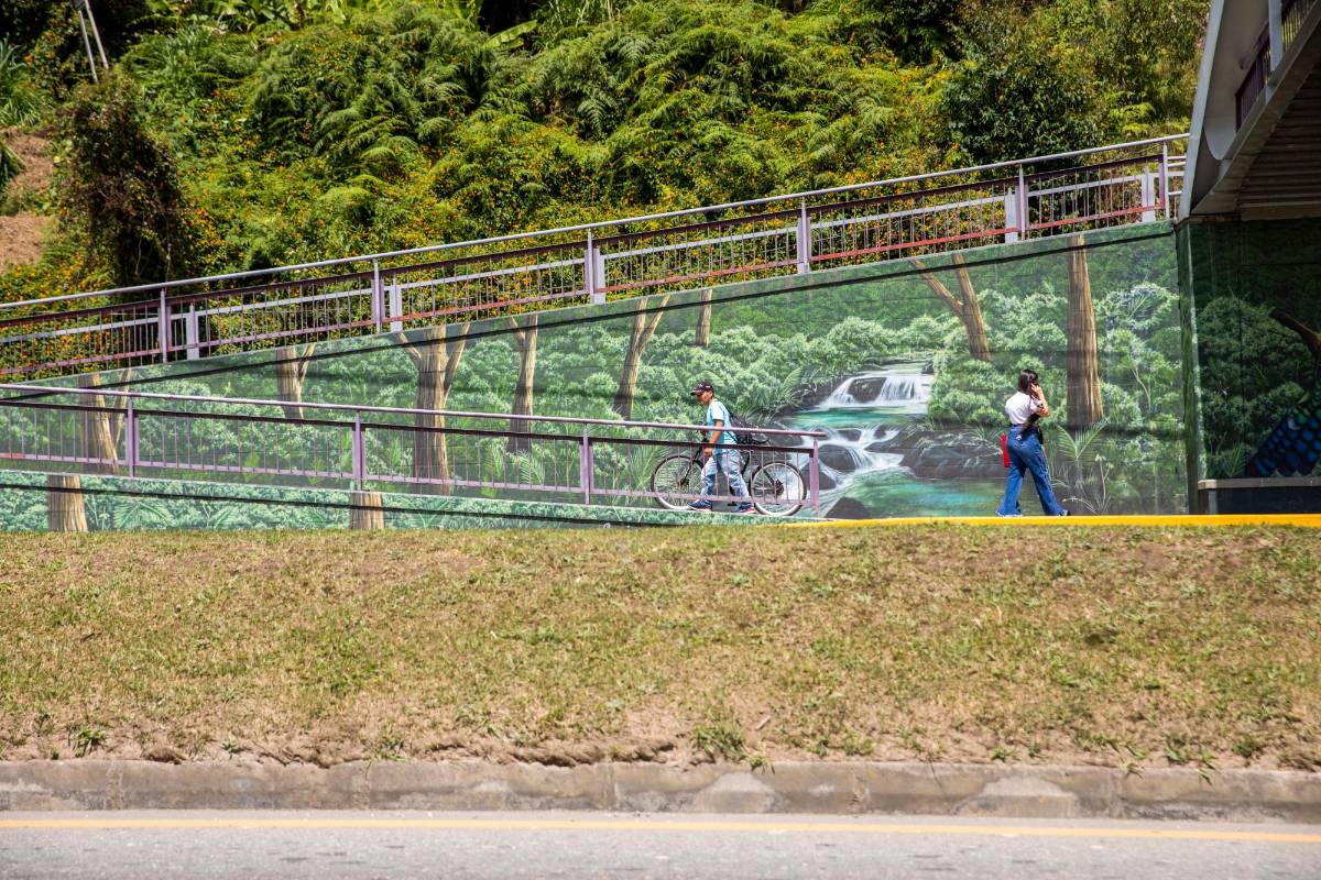 La riqueza hídrica de Antioquia también se plasmó en estos murales. Fotos: Carlos Velásquez