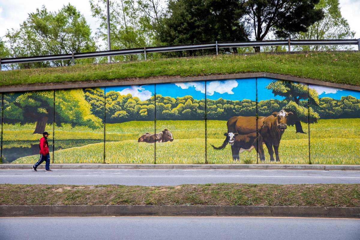 La zona lechera es muy importante para el departamento, por esta razón hay murales que la destacan. Foto: Carlos Velásquez