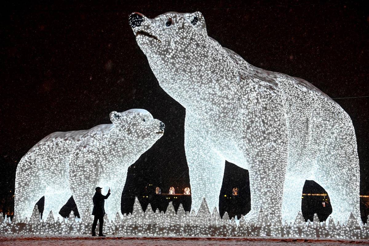 En Moscú un hombre toma una foto de esculturas de osos polares hechas con luz, instaladas para las vacaciones de Año Nuevo y Navidad. FOTO AFP