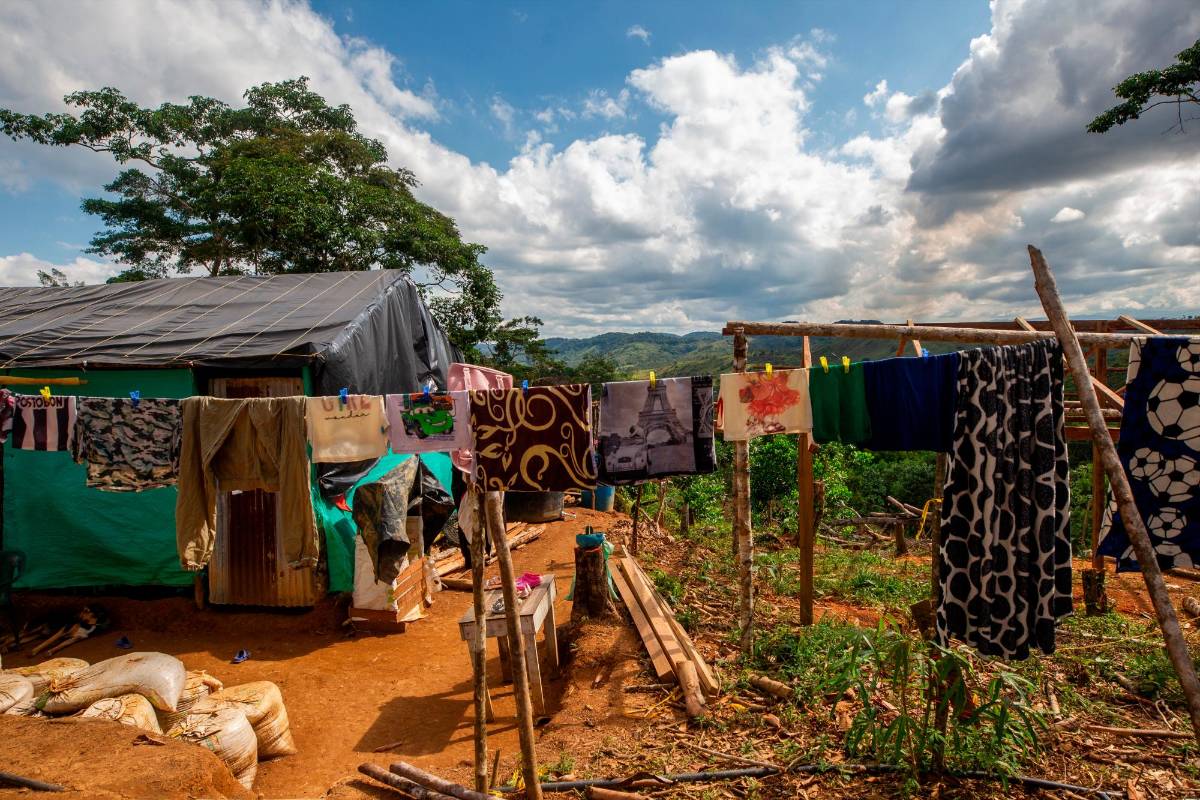 Las Pavas, popularmente conocido como La Culebra, es uno de los lotes invadido con una extensión de casi 120 hectáreas que pertenece al municipio de Remedios. Foto: Camilo Suárez Echeverry
