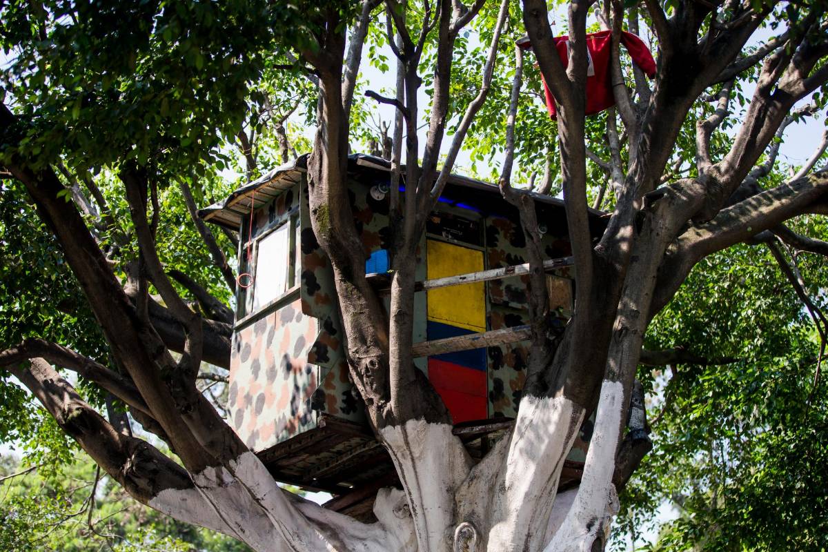  Juan Carlos utilizó todo su ingenio para construir las escalas con las que sube a su vivienda, las cuales incrustó entre los troncos con mucha firmeza. Foto Julio César Herrera