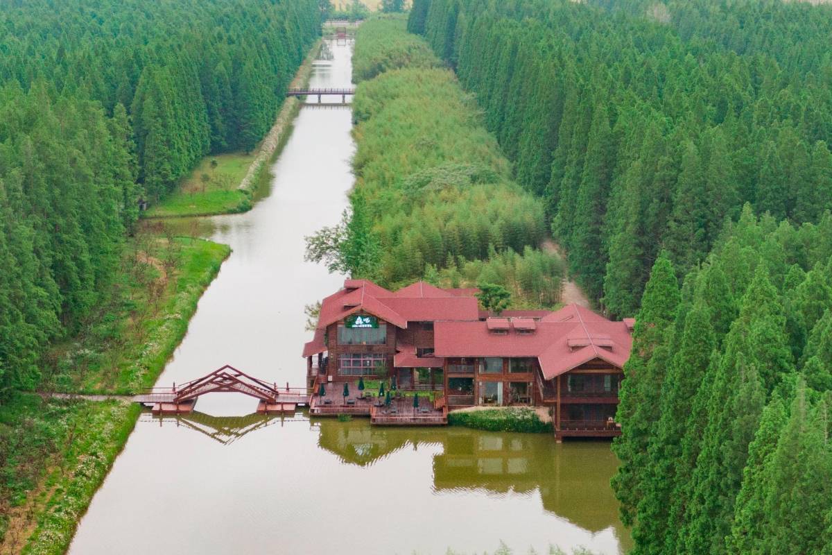 El bosque de Huanghai fue planeado y creado para ser convertirse en un parque nacional. Foto: Getty