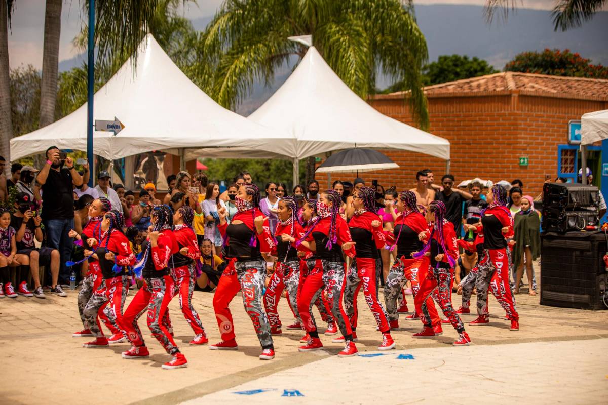 Este sábado 13 y el domingo 14 las entradas serán gratuitas. Foto: Carlos Velásquez