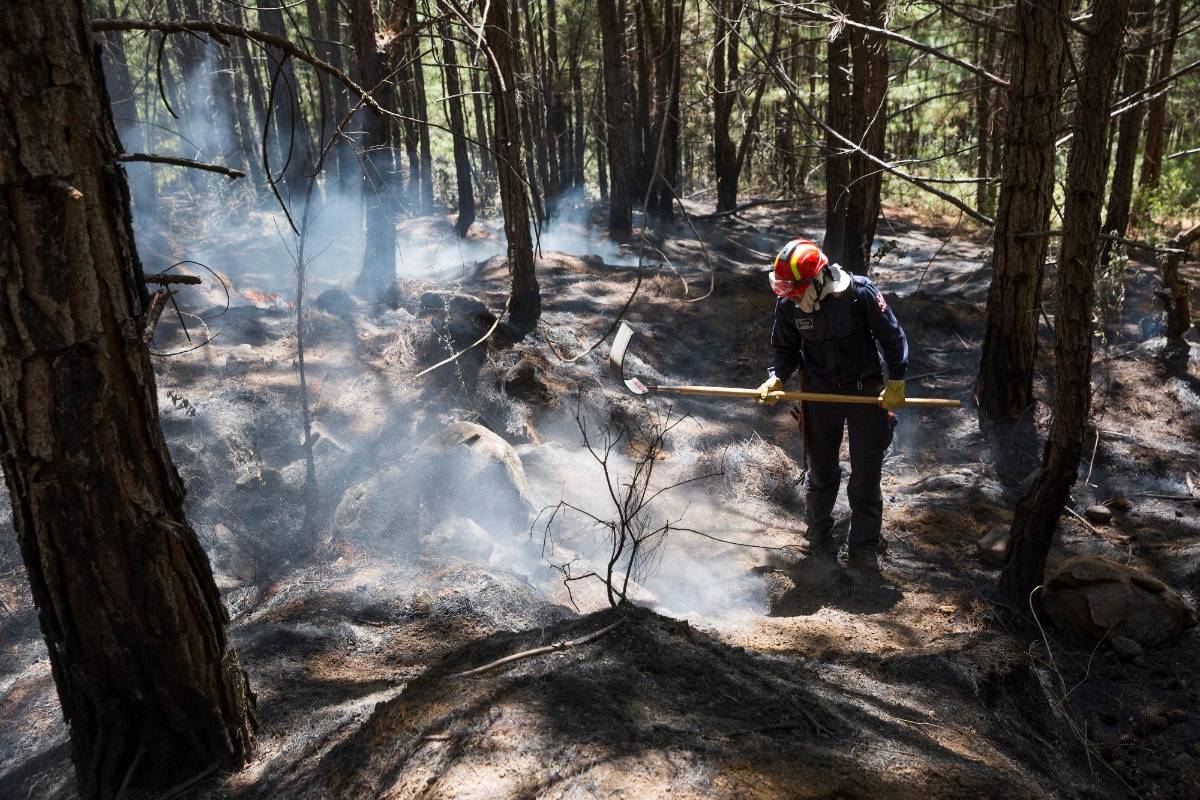 Las quemas ocasionadas muchas veces por manos criminales, generan destrucción de la capa vegetal difícil de recuperar. Foto : Edwin Bustamante