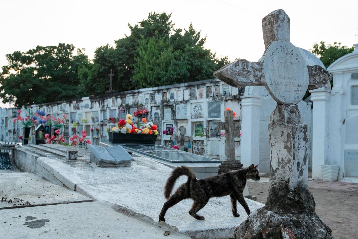 Por más extraño que parezca, habitantes y visitantes de Mompox ven el cementerio municipal como un sitio obligatorio para visitar. FOTO: Jaime Pérez