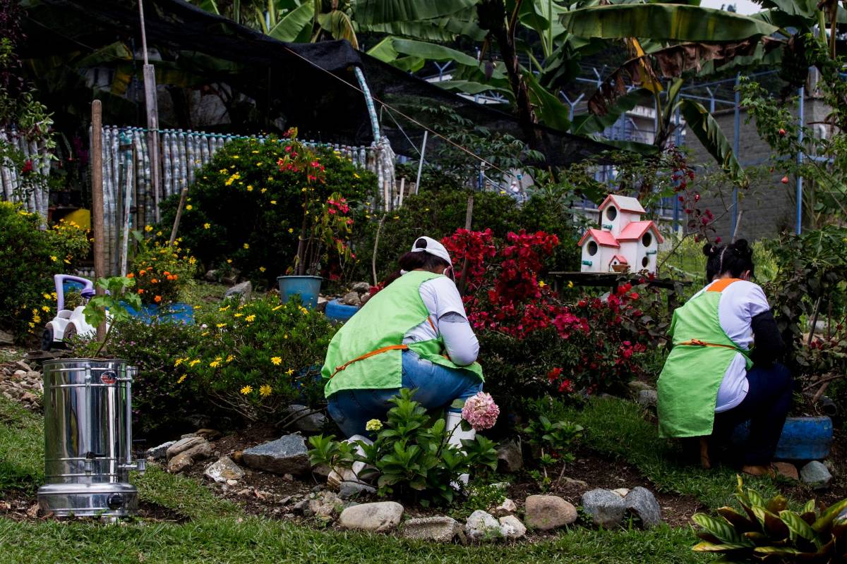 La jardinería es una de las actividades con que las internas pagan tiempo de sentencia y de paso les ayuda a relajaren. FOTO: Julio César Herrera