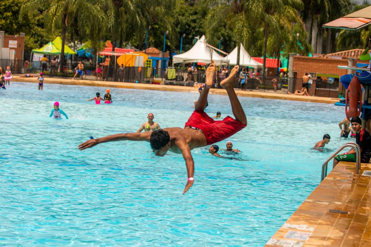El aeroparque cuenta con 70.000 metros cuadrados de espacios verdes y tiene variedad de fauna y flora. Foto: Carlos Velásquez